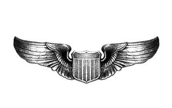 Gatwick Flight Simulation Group